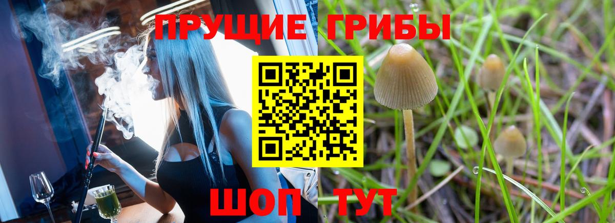 Псилоцибиновые грибы Cubensis  Новочебоксарск 